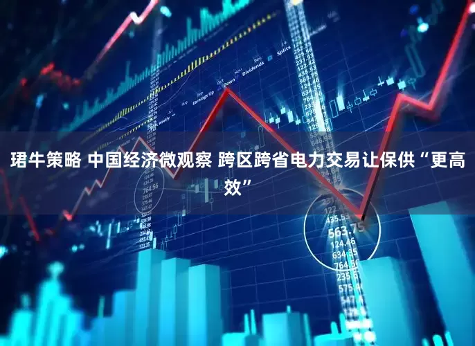 珺牛策略 中国经济微观察 跨区跨省电力交易让保供“更高效”