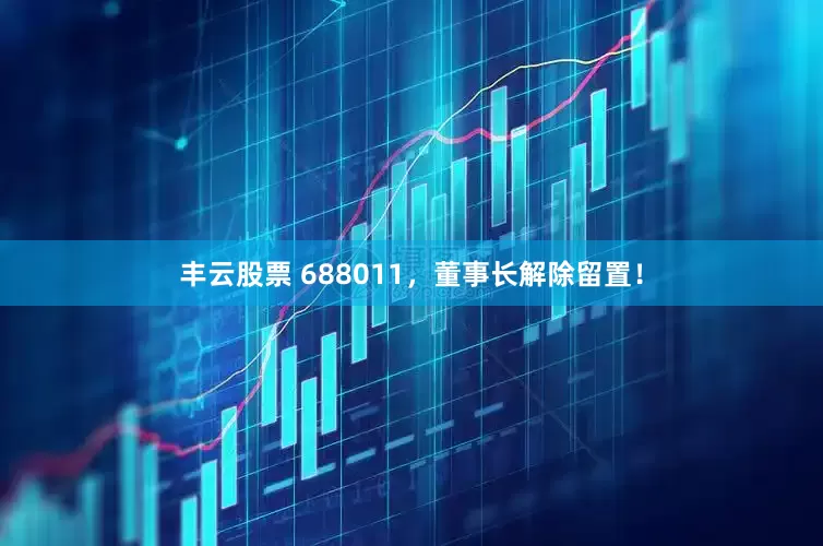 丰云股票 688011，董事长解除留置！